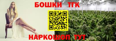 гашик Ливны