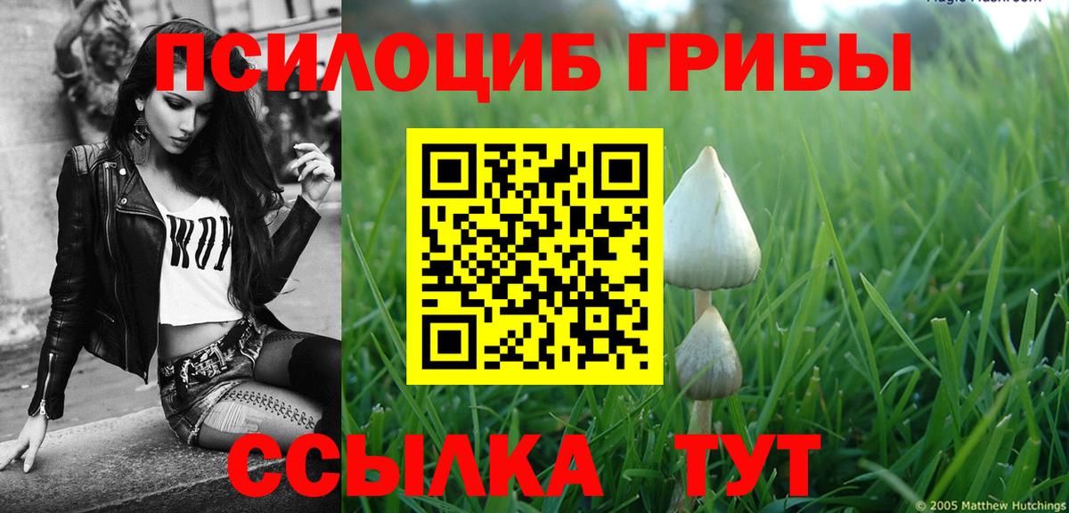 Галлюциногенные грибы Psilocybe Каменск-Уральский